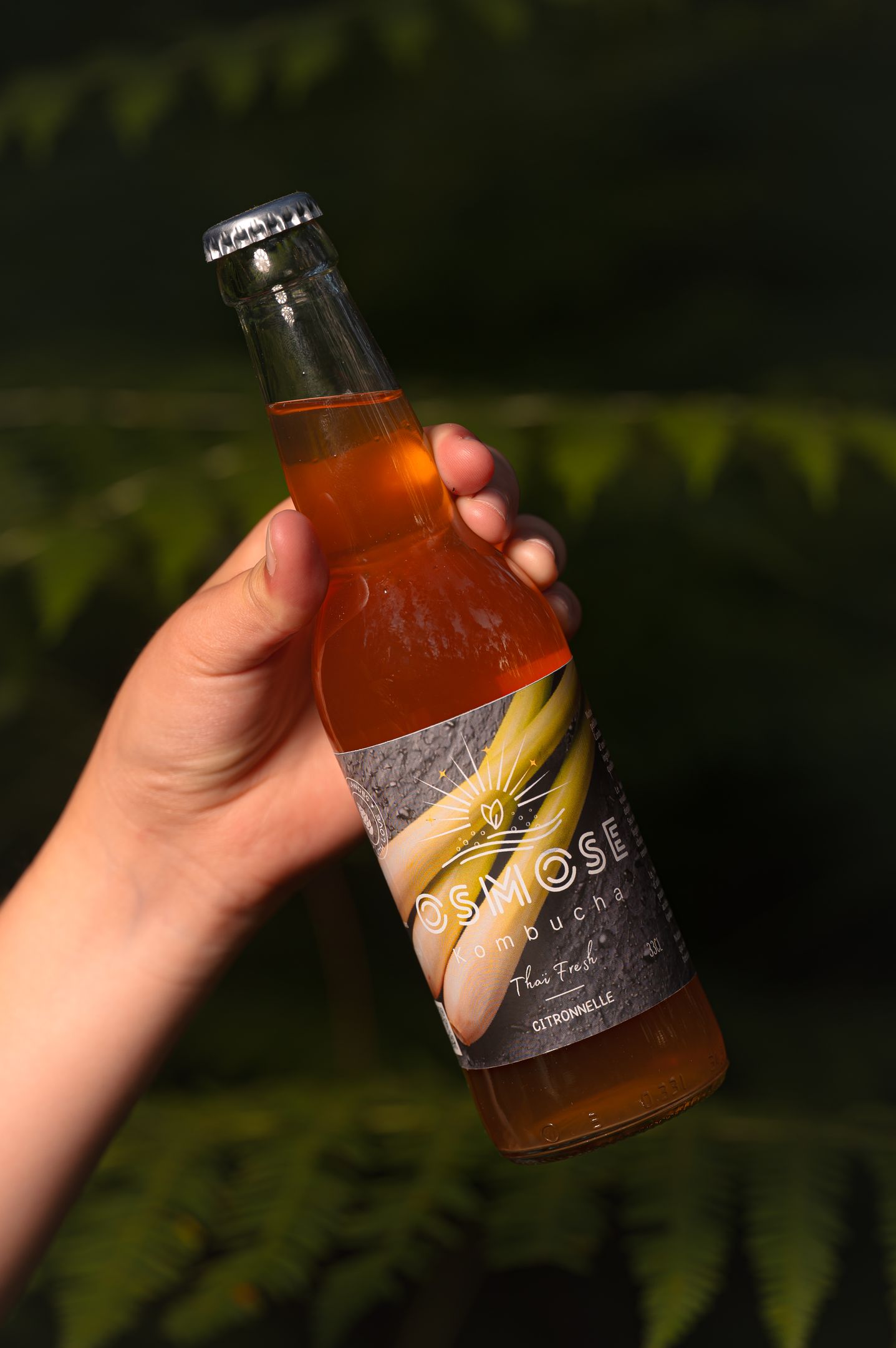 Pack 12X Thaï Fresh — Citronnelle 33cL