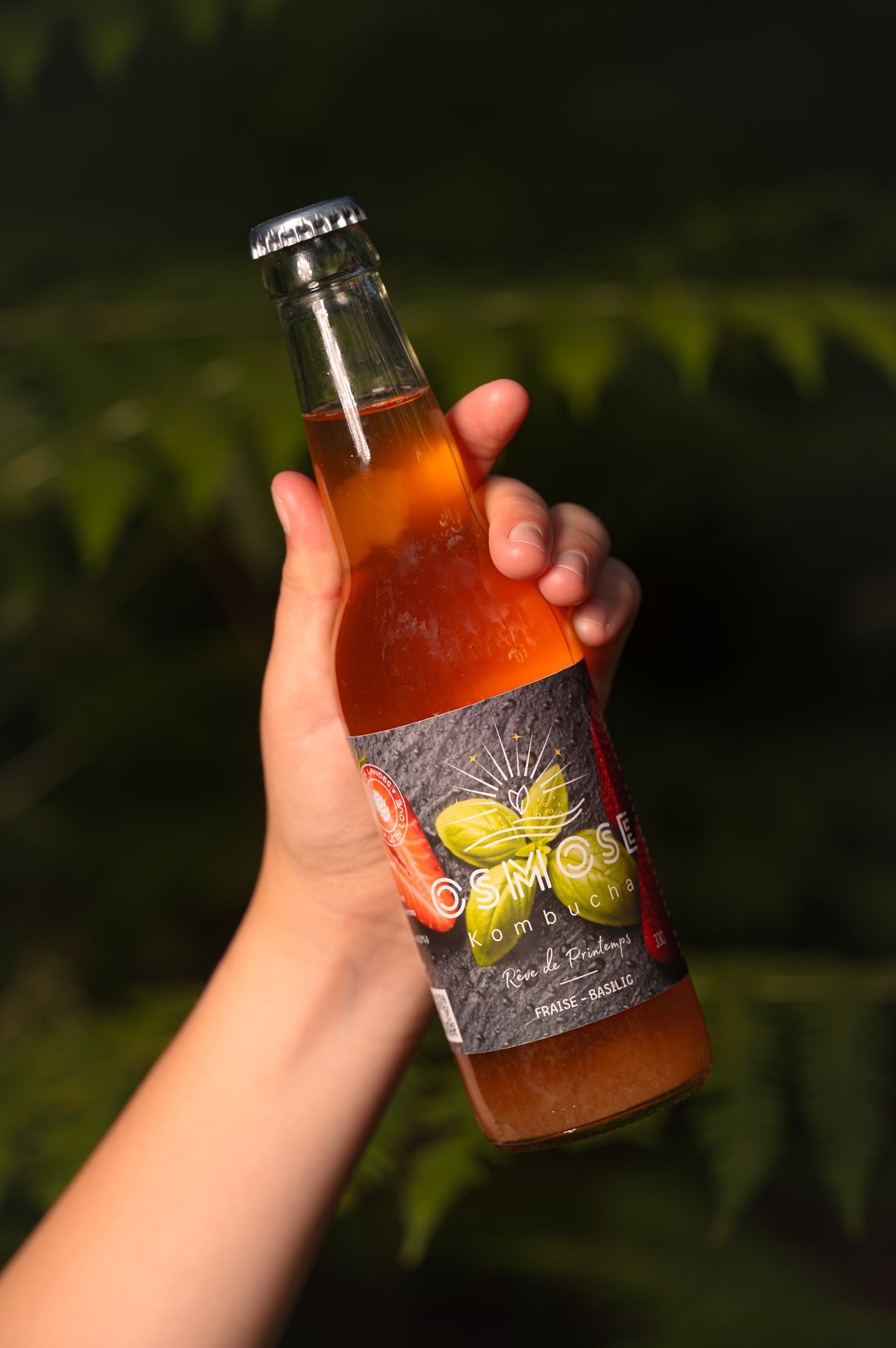 Pack 12X Rêve de Printemps — Fraise & Basilic 33cL