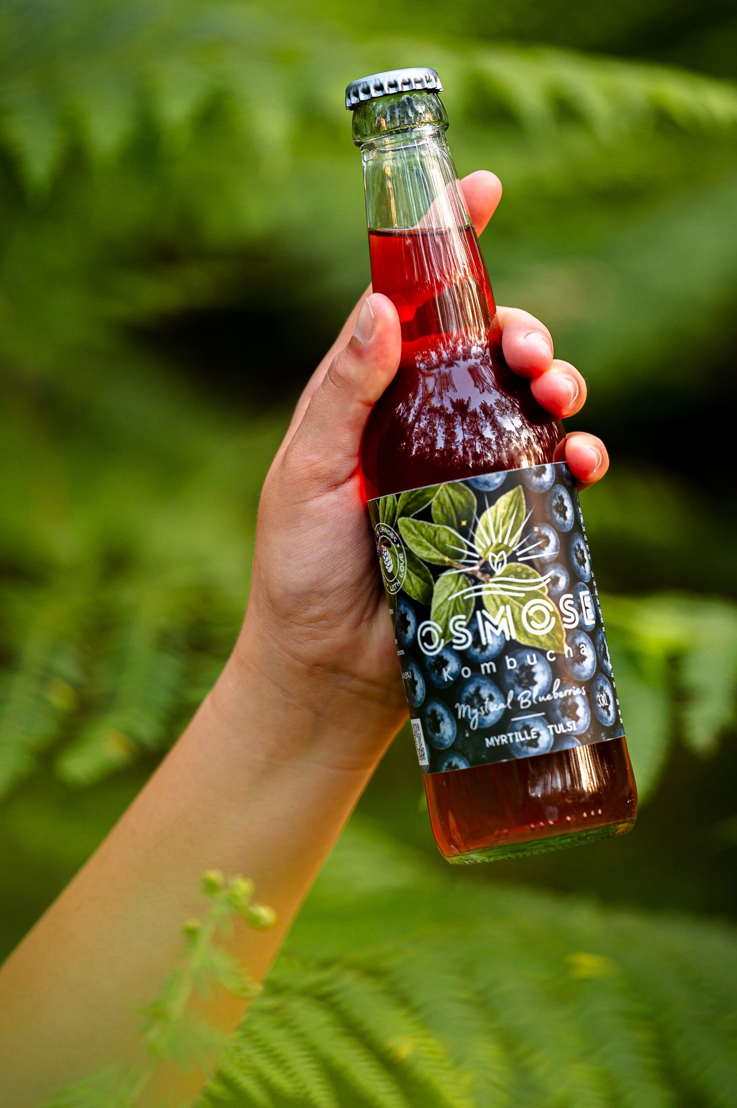 Pack 12X Mystical Blueberries — Myrtille & Basilic Sacré 33cL