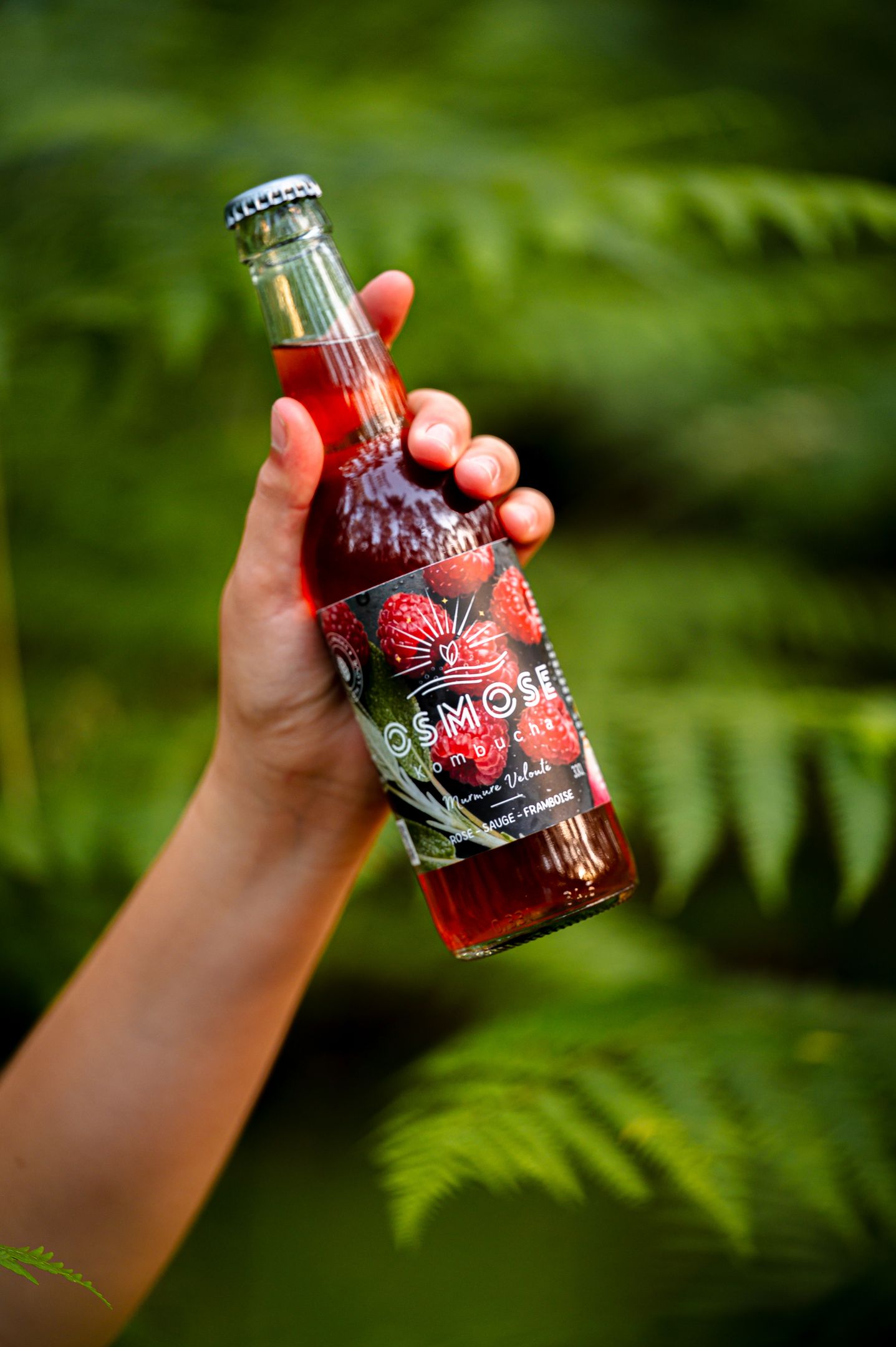 Pack 12X Murmure Velouté — Rose, Sauge & Framboise 33cL