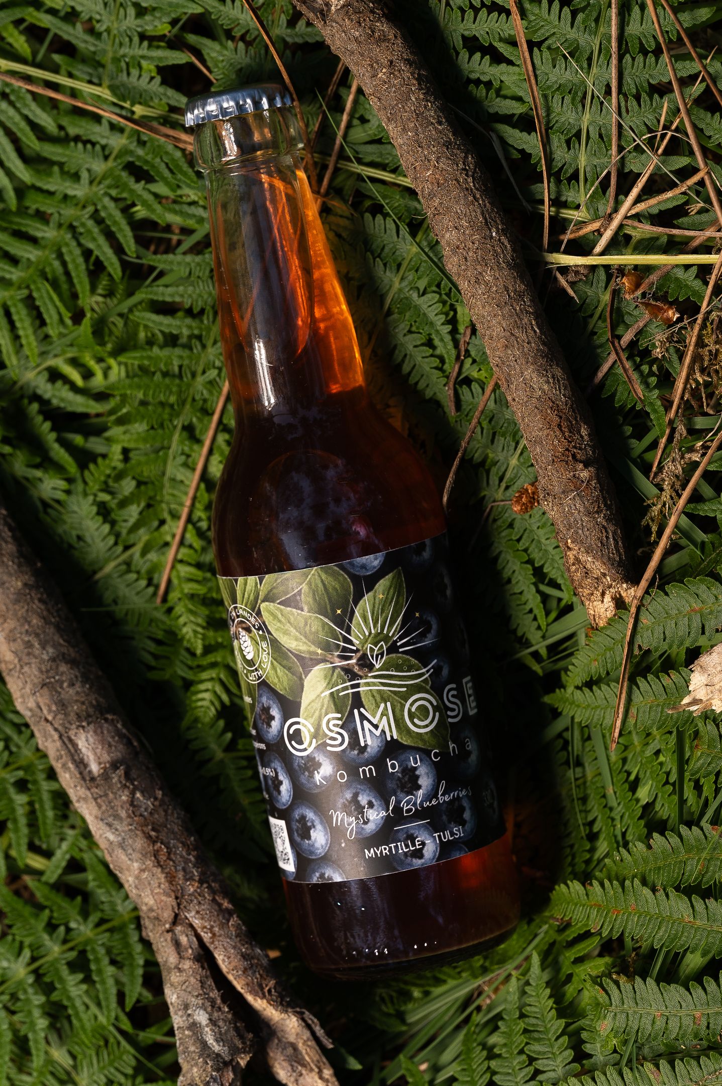 Pack 12X Mystical Blueberries — Myrtille & Basilic Sacré 33cL