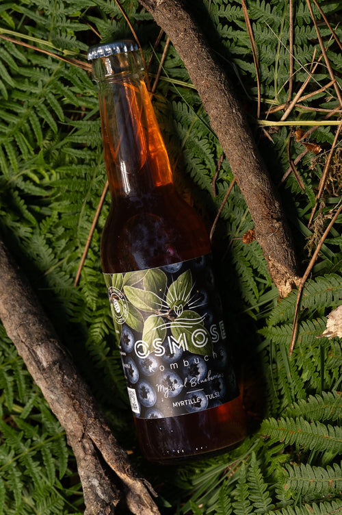 Pack 12X Mystical Blueberries — Myrtille & Basilic Sacré 33cL