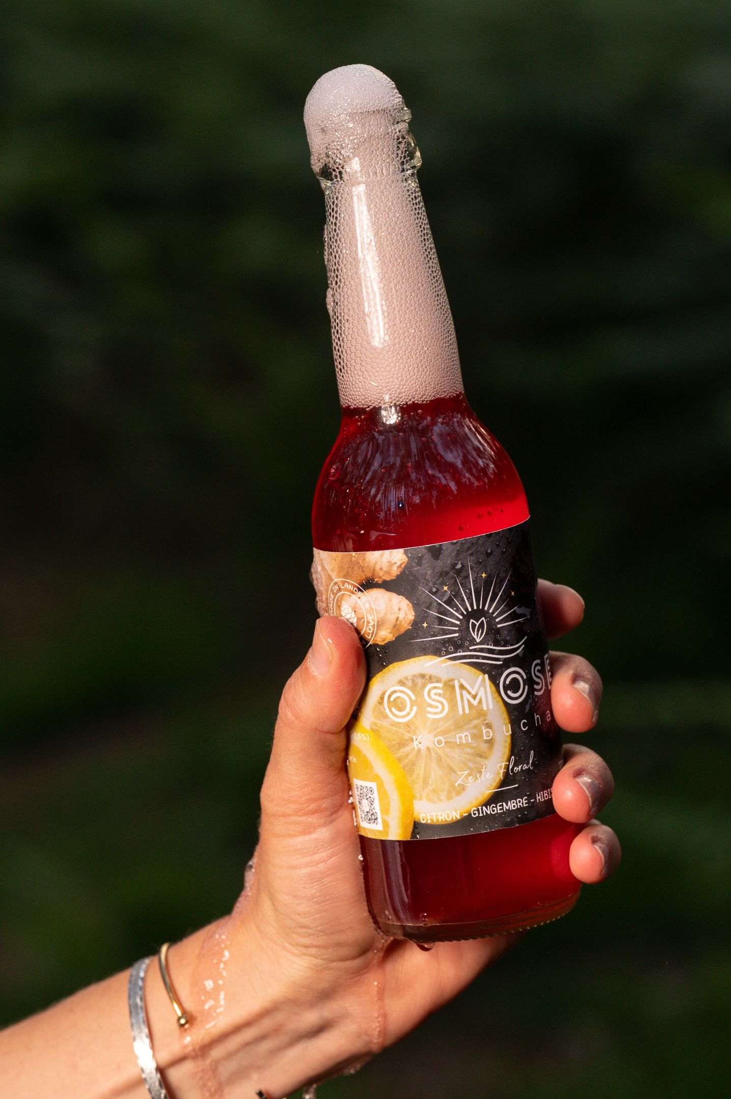 Pack 12X Zeste Floral — Citron, Gingembre & Hibiscus 33cL