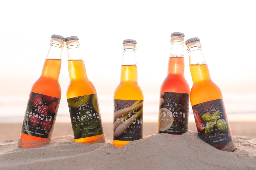 Pack Découverte— 12 x 33cL