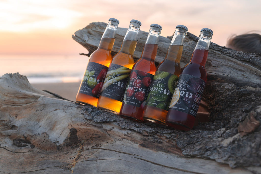 Pack Découverte— 12 x 33cL